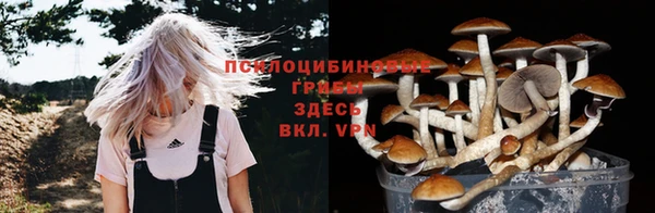 PSILOCYBIN Наволоки