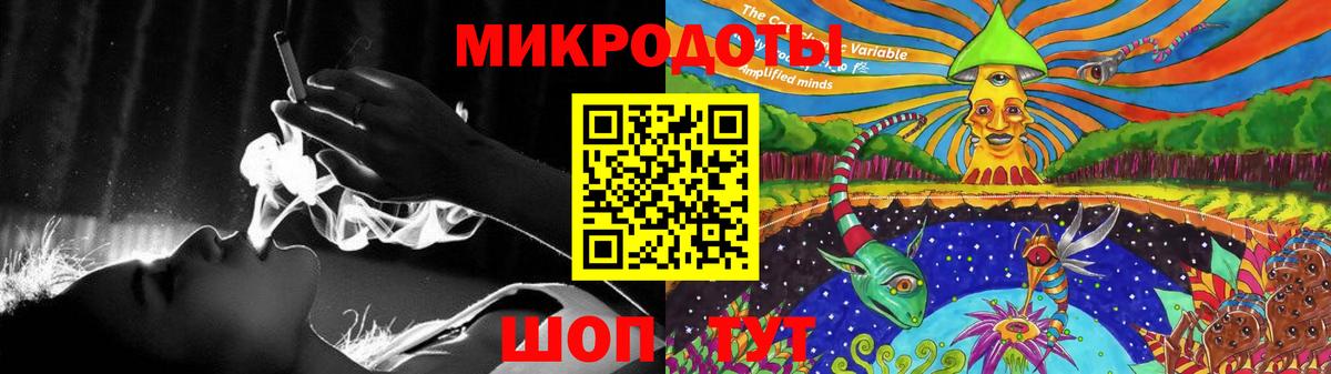 Псилоцибиновые грибы Psilocybe Майский