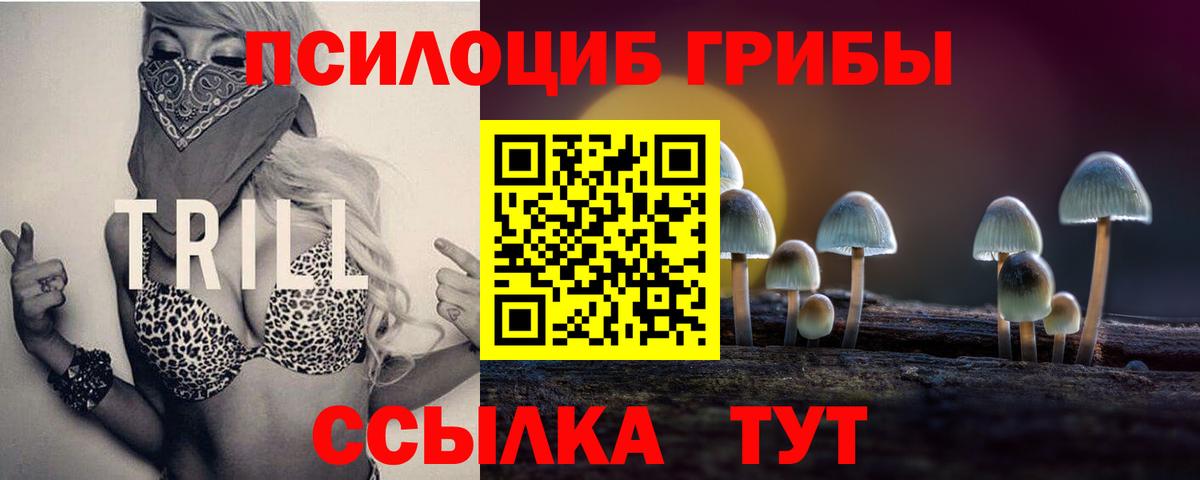 Майский  Галлюциногенные грибы Cubensis  Вход с VPN  закладка  Галлюциногенные грибы MAGIC MUSHROOMS 